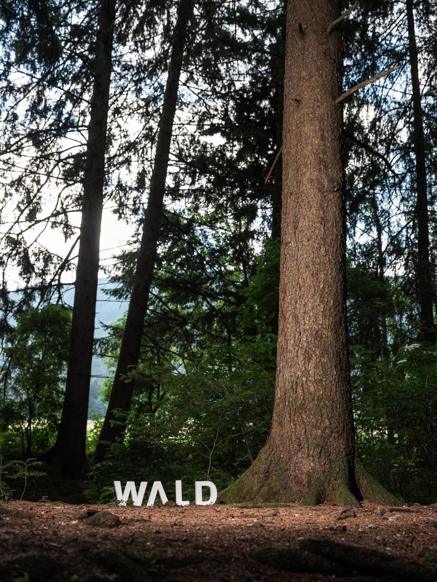Frida Am Wald Hotel Rasun di Sotto Ngoại thất bức ảnh